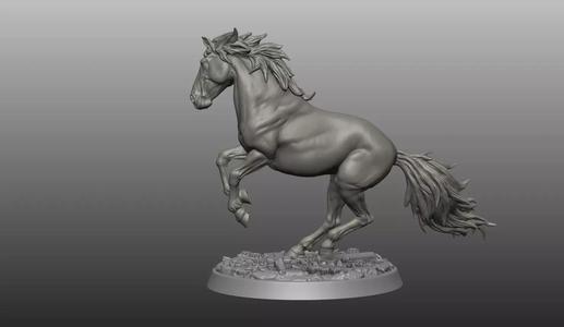 Horse pose 01