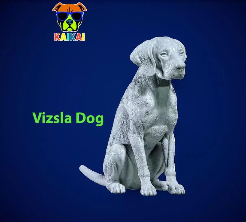 Dog Vizsla - Vizsla Hungary dog model - 3D print