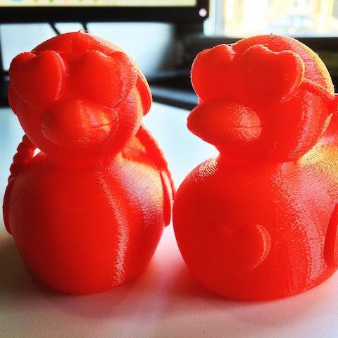 Female Valentines Duck