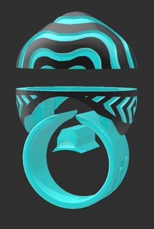 Removable and customizable ring