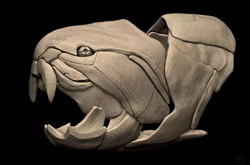 Dunkleosteus Skull