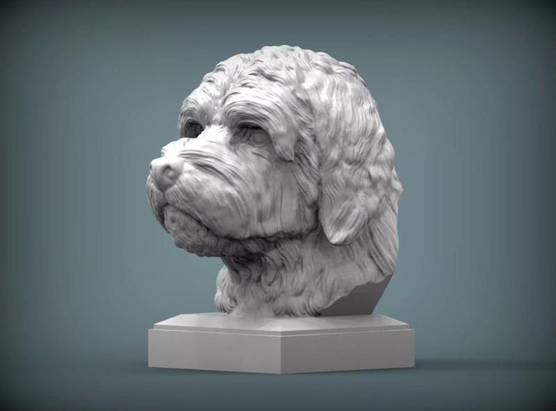 GoldenDoodle bust