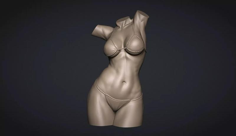 Female Torso