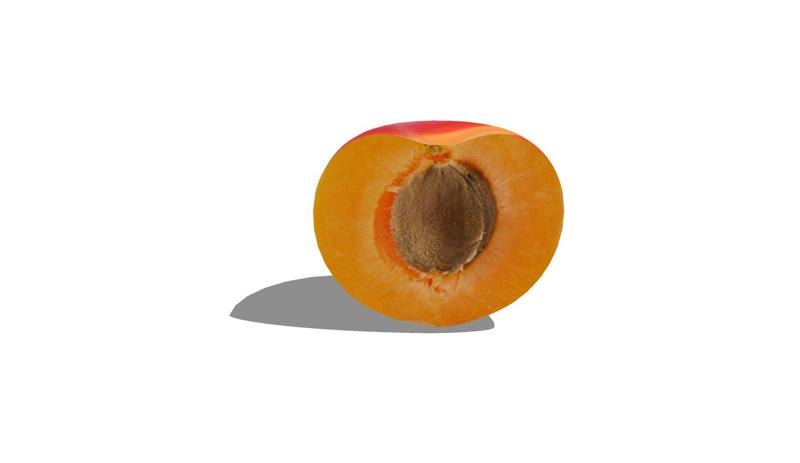 HALF Apricote Apricote 3D Fruit FRUIT FOREST WOOD NATURE FRUIT Apricote