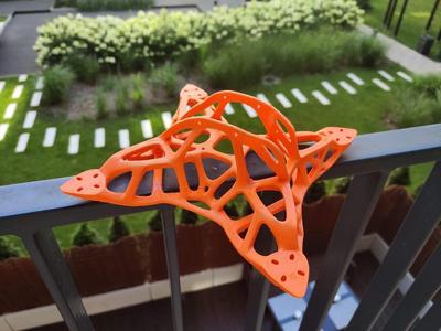 Bionic frame 225mm