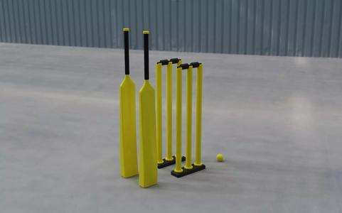 Modern Minimalistic Indoor Cricket Set