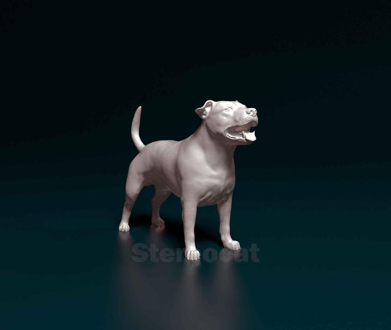 Staffordshire bull terrier