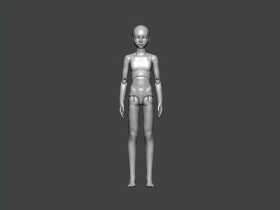 3D Model-ANATOMY0001 human skeleton