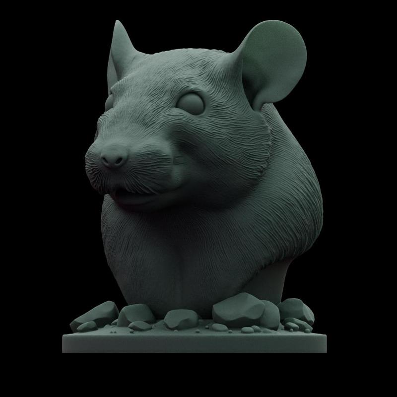 rat bust