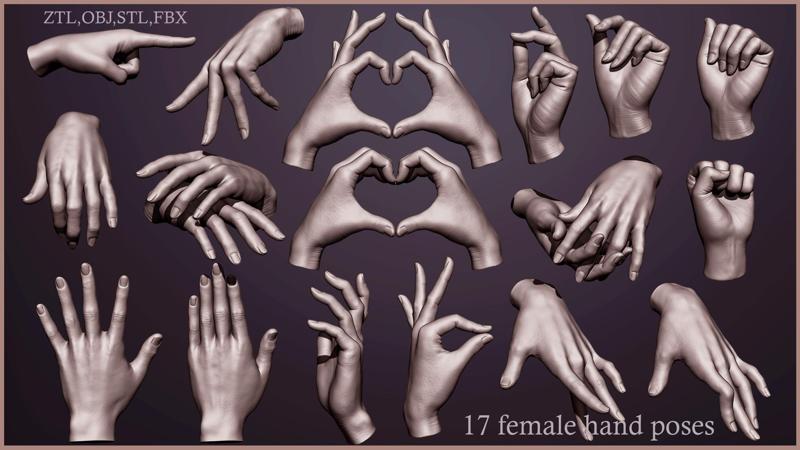 17 Female hand poses