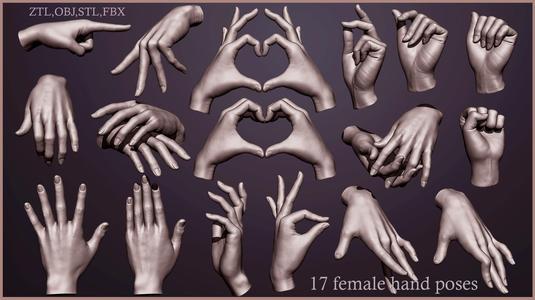17 Female hand poses