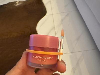 LANEIGE Applicator Holder