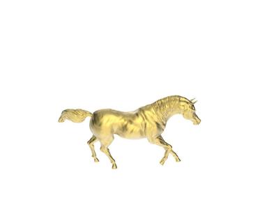 Arabic Horse in galloping position