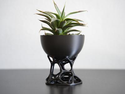 Organic flower pot