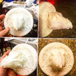 Skekung The Garthim Master From The Dark Crystal