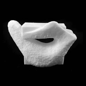 Bird of the Earth in Caransebes, Romania