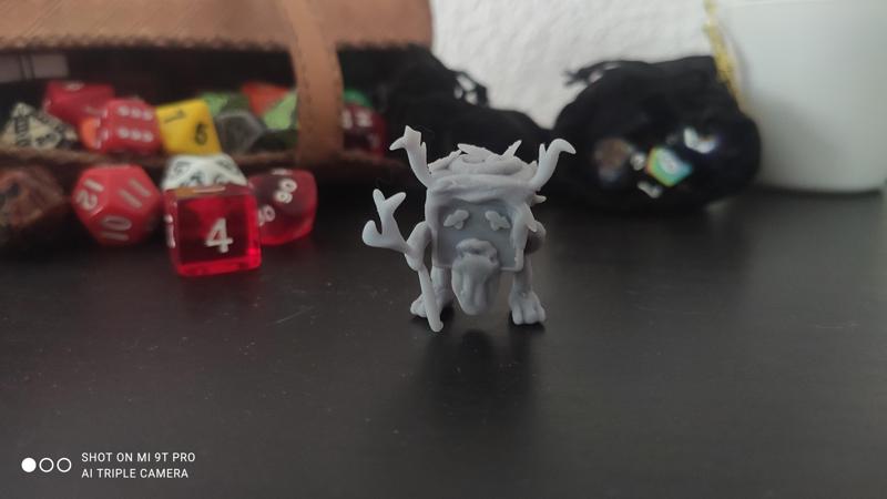 Dice D6 Custom Druid