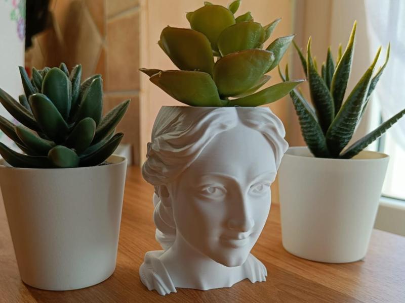 Indoor Venus – Neoclassical Planter for Succulents