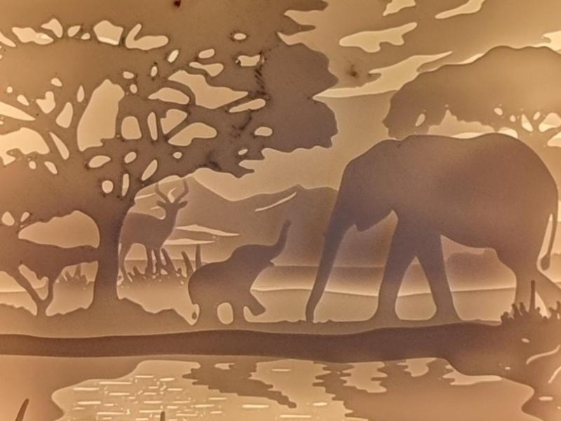 Elefant shadow box