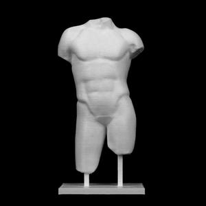 Male Torso at The Réunion des Musées Nationaux, Paris