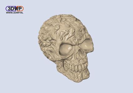 Souls Skull (Hollow)