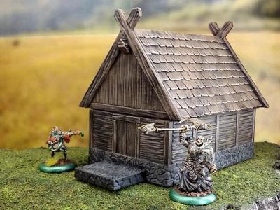 Smaller Viking House