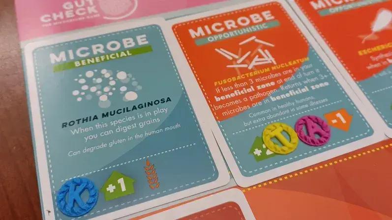 Antibiotic resistance DNA plasmid tokens