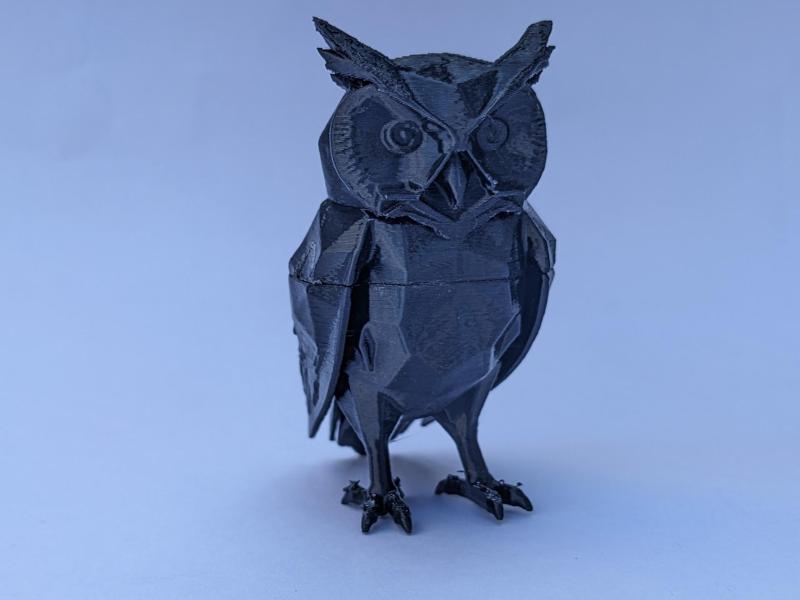 Shadow Owl