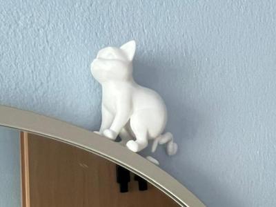 Pooping Cat