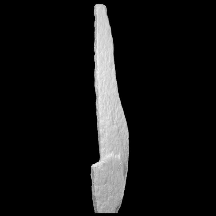 Ogham Stone - Bunkilla, Co. Cork