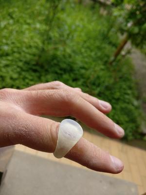 Perfect Circle v5 Ring