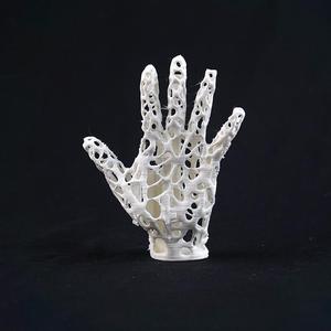 Hand Scaffold