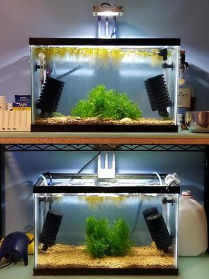 Aquarium LED Floodlight Tank Mount