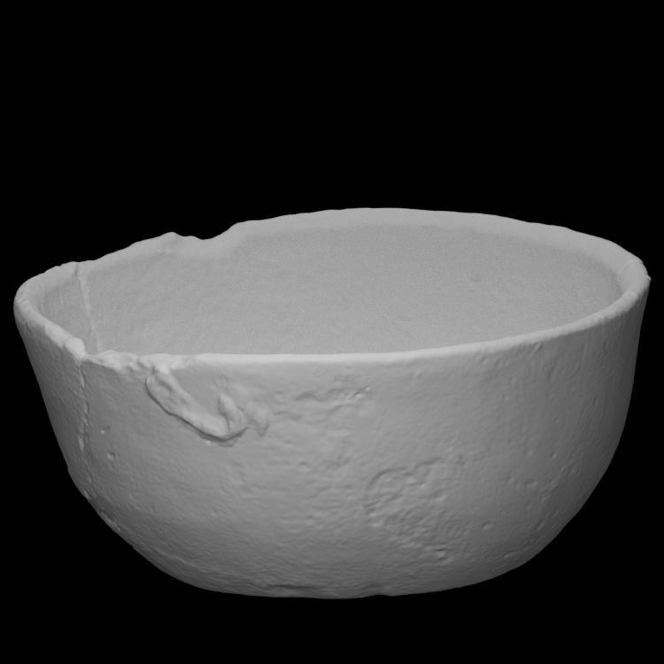 Bowl