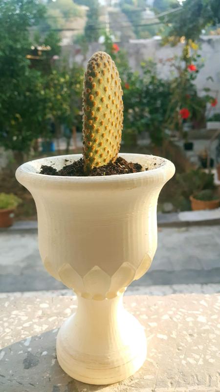 Goblet Pot 3 Versions