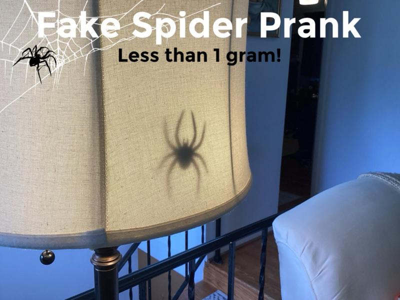 Spider Silhouette Prank