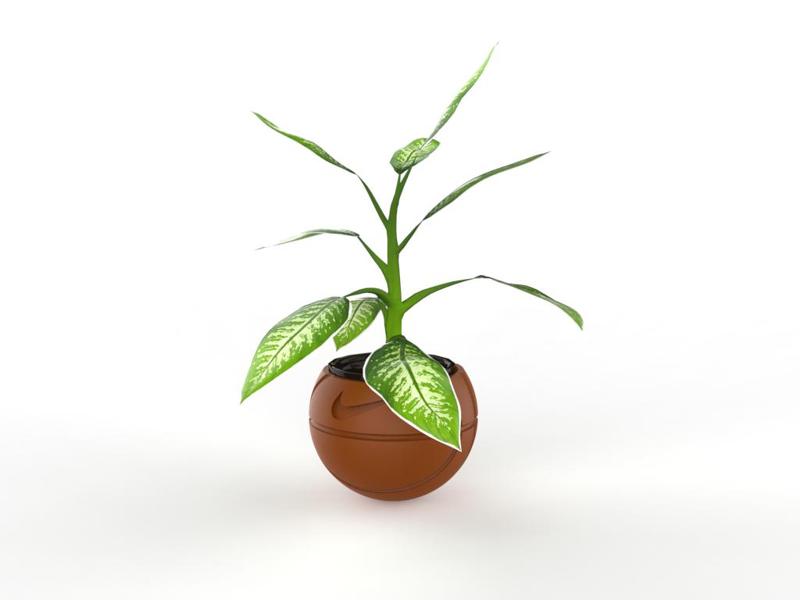 nike basketball vase