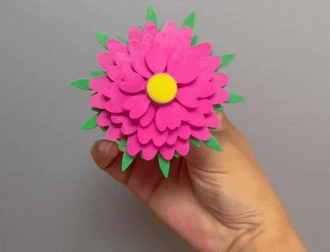 Rotating Peony Flower