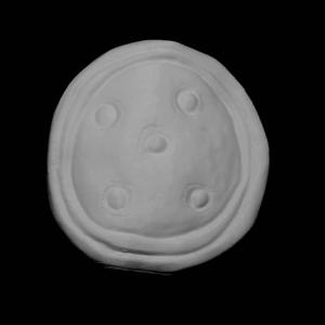 Stucco Shield at The British Museum, London