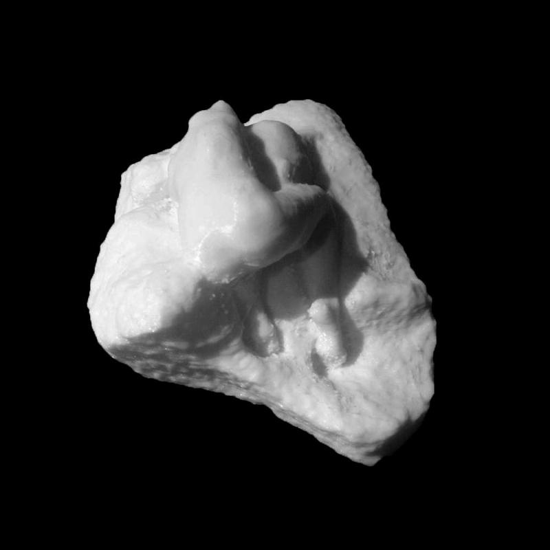 The Danaid at The Ny Carlsberg Glyptotek, Copenhagen