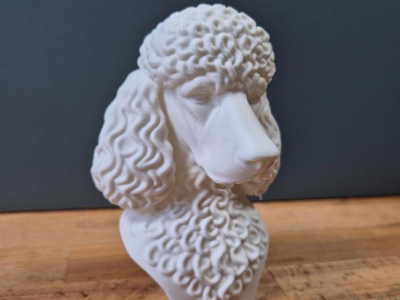 Poodle bust