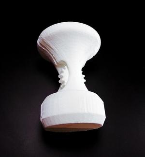 trophy for competition