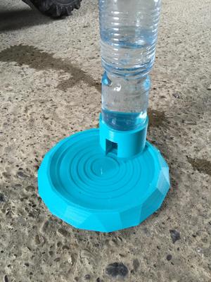 Turtle, Reptile drinking bowl