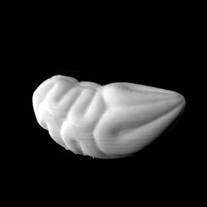 Beneath the Skin in London, United Kingdom