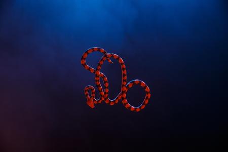 SNAKE - Vikings 3D Prophecy - Episode 15 - All HIs Angels