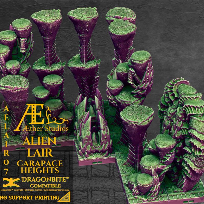 AELAIR07 - Carapace Heights