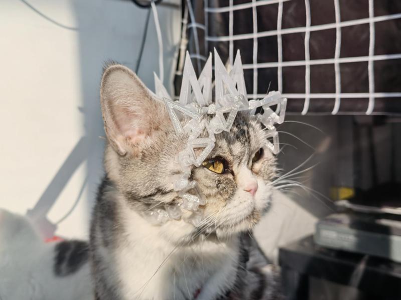 Cats, dogs, pet spiked helmets Cat hat