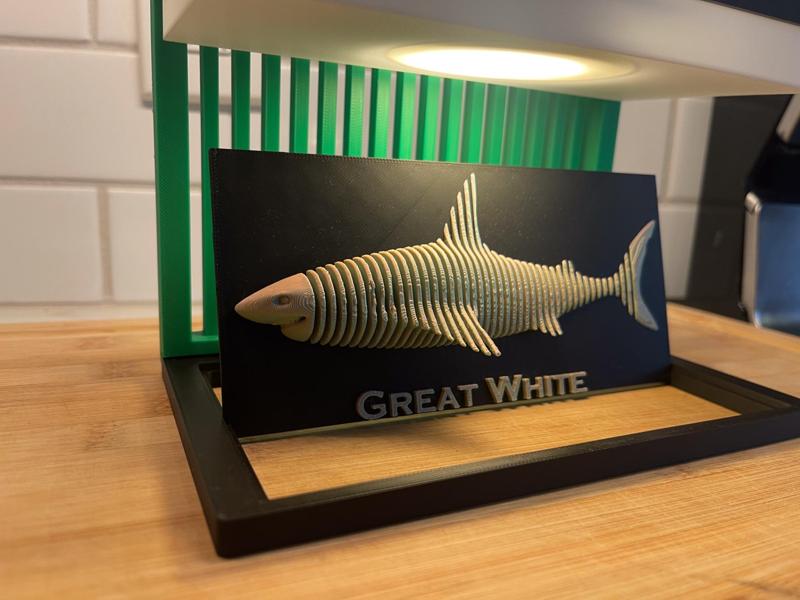 Great White Shark - Layered Art Sculpture 