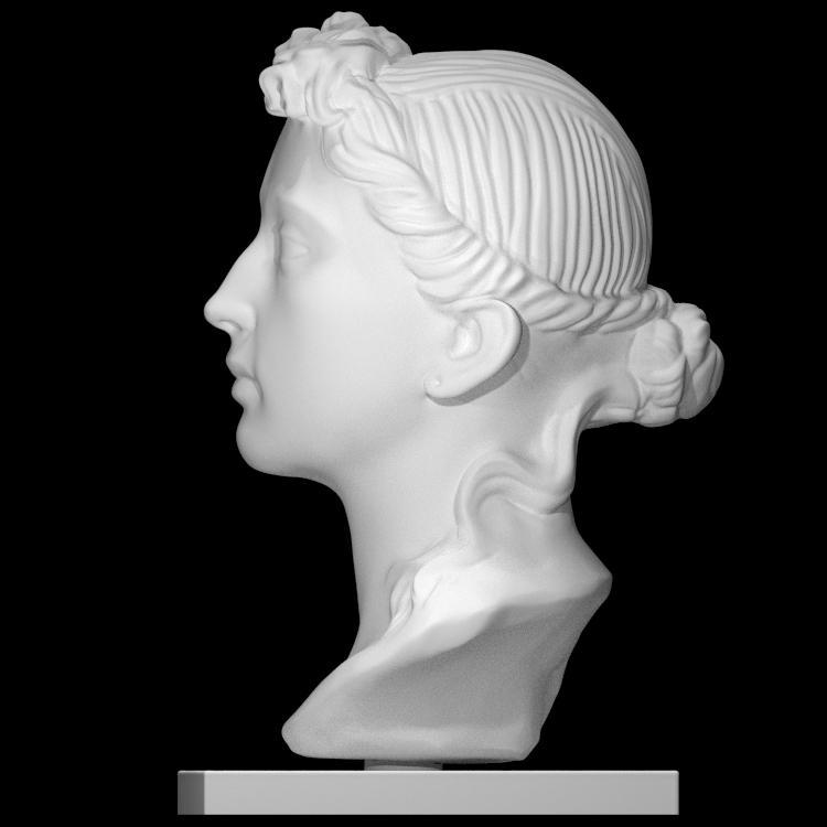 Bust of a Woman