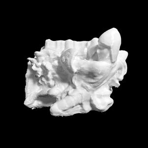 Capital with Saint George